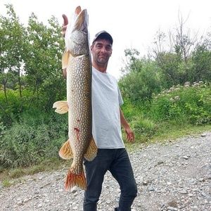 Meet your Posher, Martin